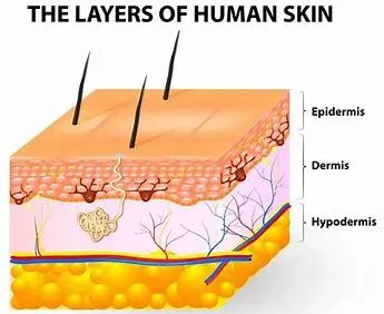 有什么润唇膏越涂嘴唇会更红润的,冬天涂了润唇膏嘴巴还是会干