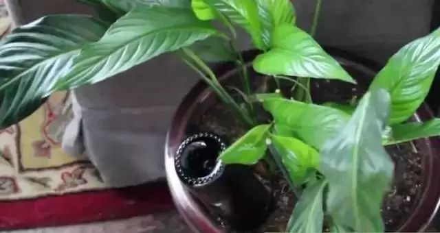 易拉罐的三种再利用方法,原来易拉罐还可以这么用