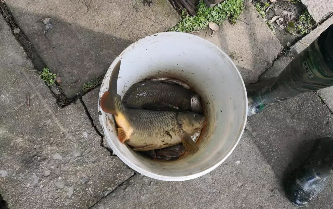 禁渔期内非法捕捞民警江边蹲守,禁渔期内严查非法捕捞