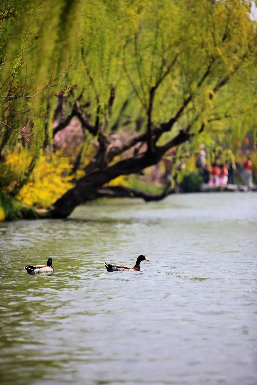 12月去哪里旅游机票最便宜又好玩,2021年三月份去厦门机票