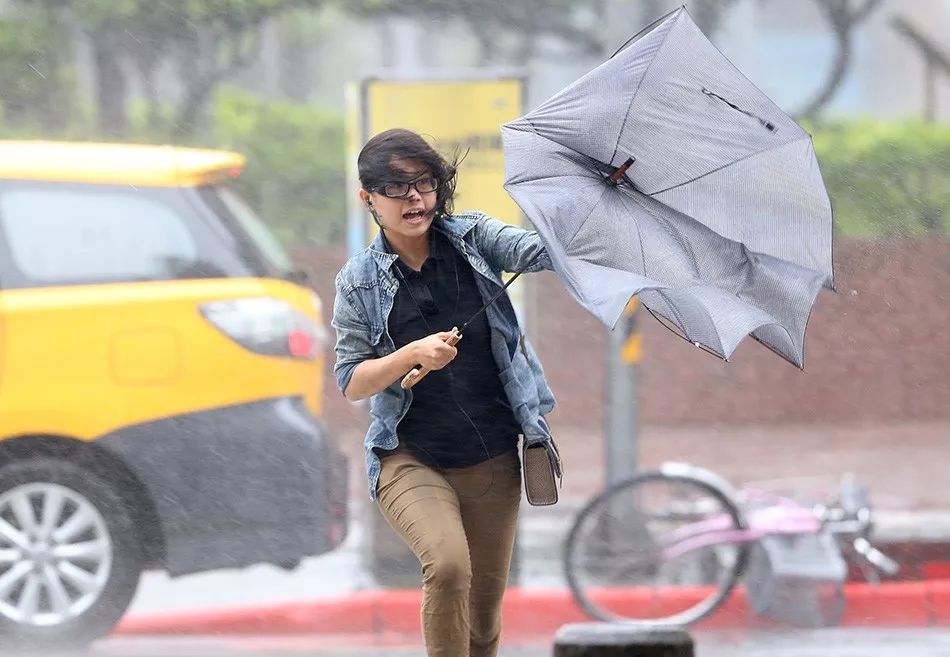 英国皇室伞,英国皇室御用伞