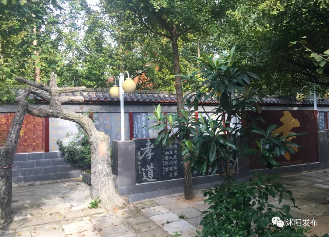 带你了解沭阳,普及沭阳知识