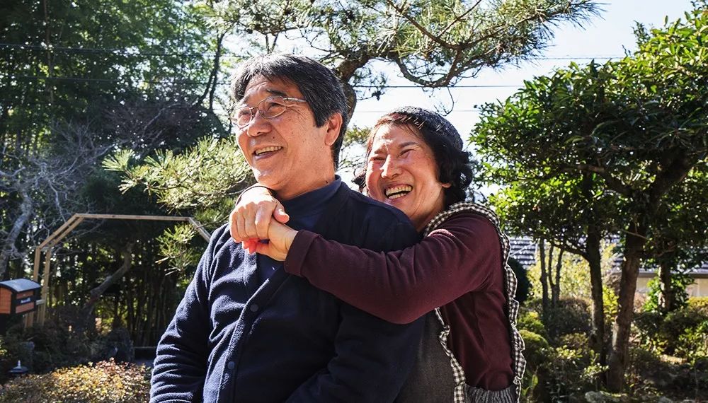 九州福冈樱花,九州樱花季旅游