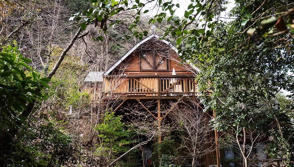 九州福冈樱花,九州樱花季旅游