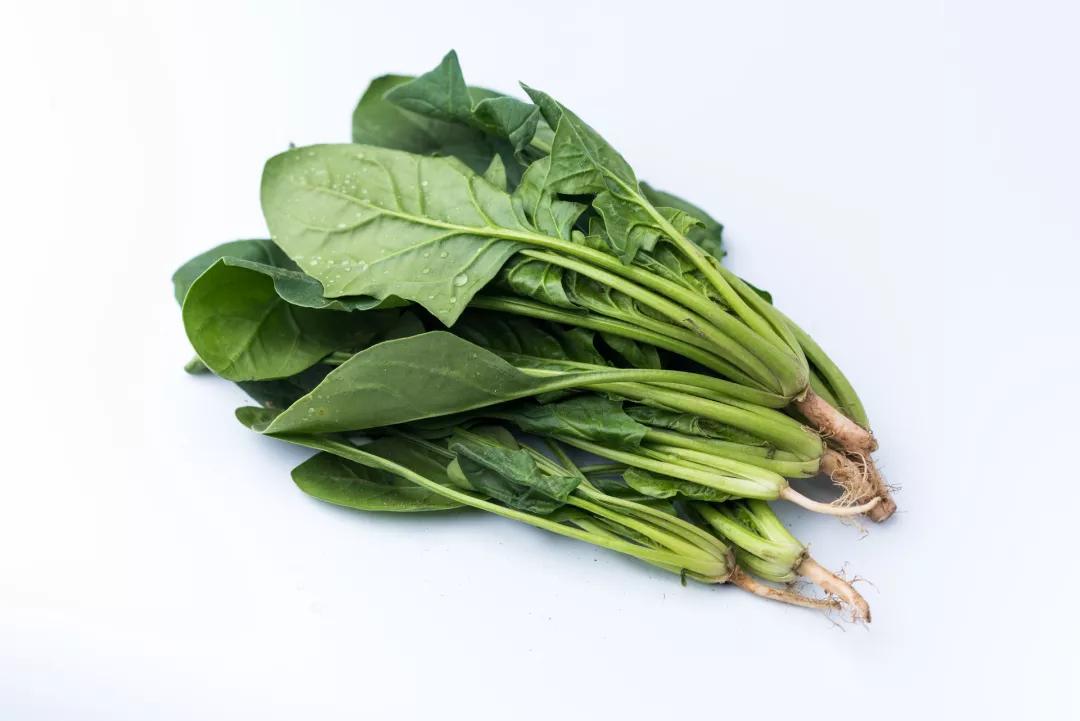 上火吃解毒丸的副作用,春捂防病有讲究