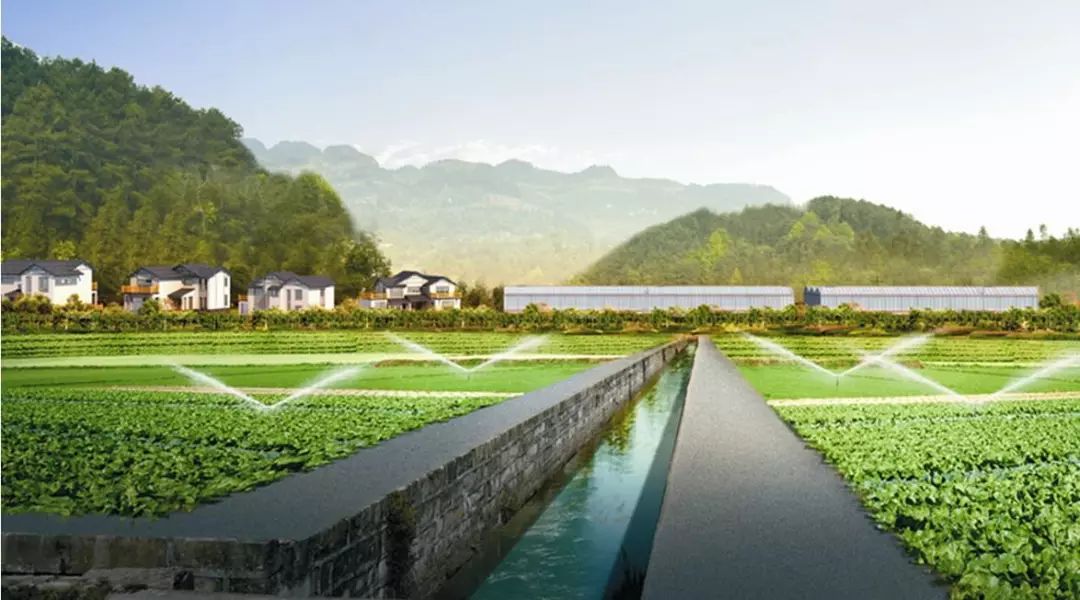 化肥为什么被称为“土地*片鸦**”？真相曝光了