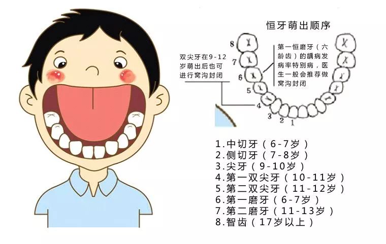 乳牙停留成年人牙周炎,提醒家长关注幼儿口腔健康的语言