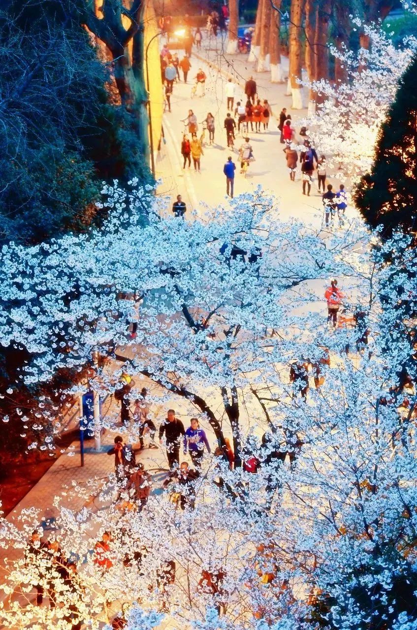 2022年3月机票便宜,三月下旬厦门到成都机票价格