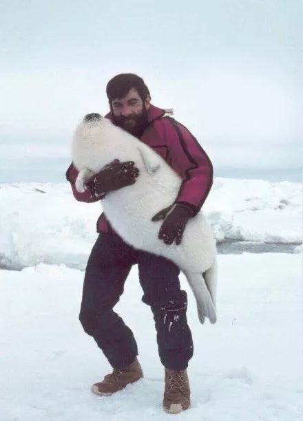 被这肉球萌得生无可恋，只想揉搓它