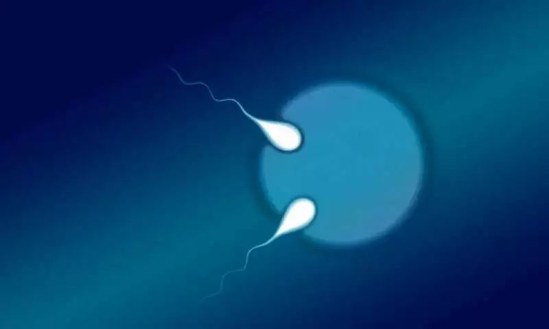 异卵双胞胎姐妹生双胞胎,异卵双胎生了两个儿子