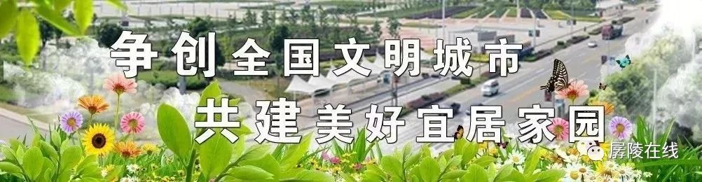 123公交车到哪了,1234路公交车