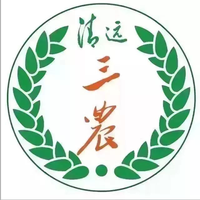 抢五一的火车票,小长假火车票今起开抢