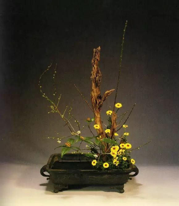 最难写的汉字10个字,最复杂难写的十个汉字