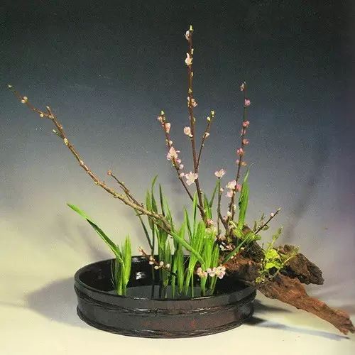 最难写的汉字10个字,最复杂难写的十个汉字