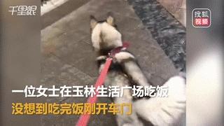 不小心撞到法拉利要赔多少钱,撞到法拉利走保险要赔多少