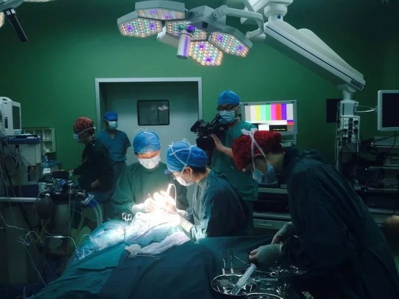 助力全民听力健康中日友好医院正式启动2019年启聪项目