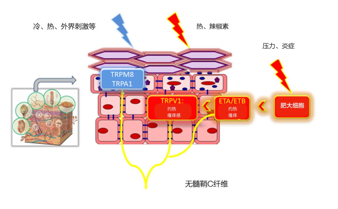 秘籍｜入春换季，生活不易，敏感肌不叹气