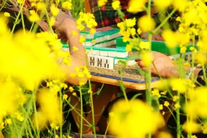 3月花期将至,人均200拿下隐居旗下成都地标旁酒店,一天5顿不重样!