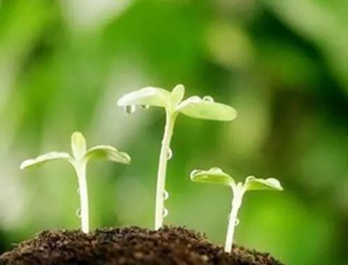 十对夫妻不孕不育,每十对夫妻就有几对不孕不育