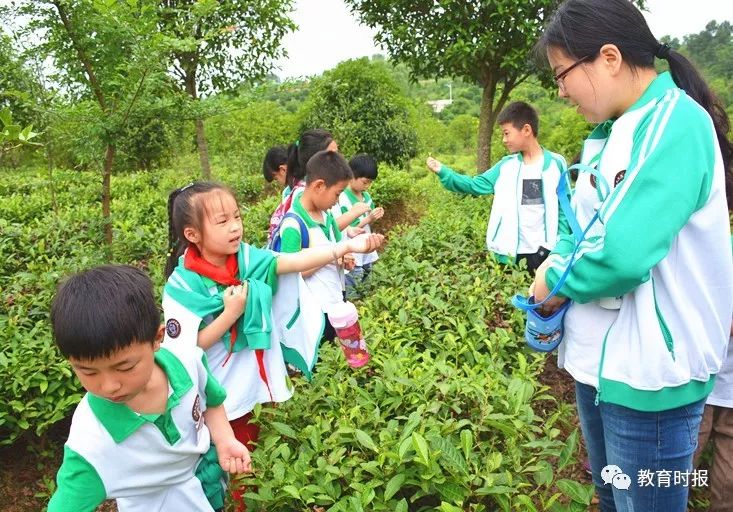 Hey，哈敦！你为学生努力的样子真美