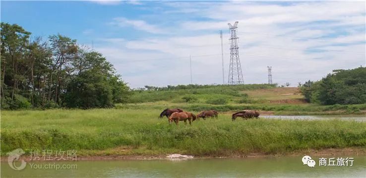 自驾游草原免费路线图2日游,清明节一日游自驾
