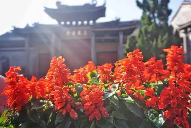 最便宜广州塔游玩攻略,广州塔268元套票攻略