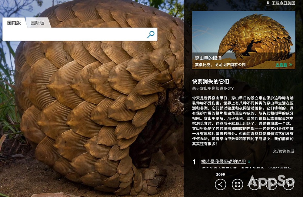 总是找不到好看的壁纸,总找不到喜欢的壁纸