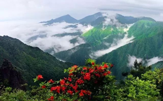 急急急！全城寻找缺牙、难看牙市民，每人最高获助20000元！