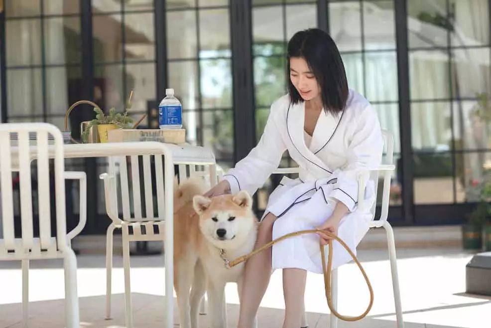 三利毛巾百货展销会,三利毛巾2024年新品发布会直播间