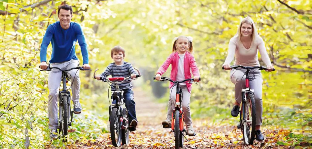 那些OfficeLady的办公室抽屉里，到底藏了多少宝藏？