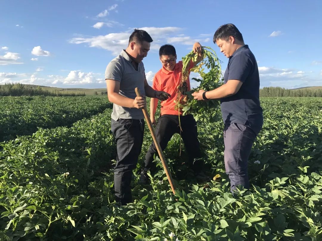 金融支持三农发展,信贷支持三农的政策文件