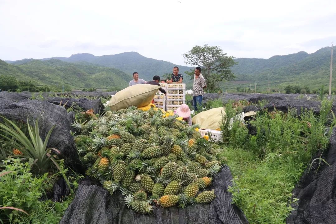 金融支持三农发展,信贷支持三农的政策文件