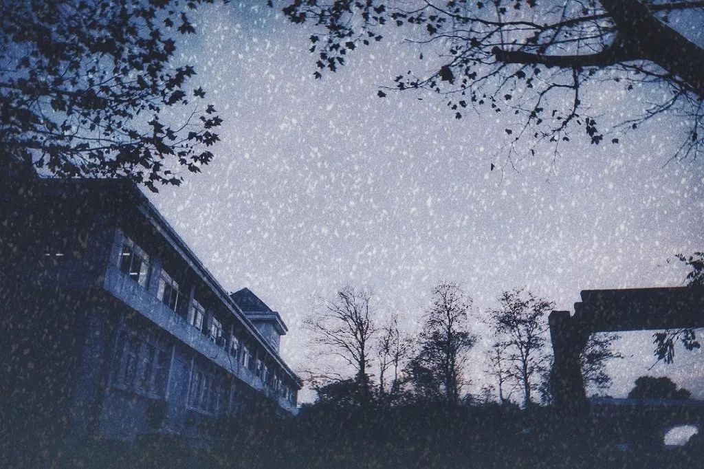 流浪地球之旅行系列,流浪地球南北极