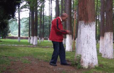 养生从排毒开始,所有养生都是徒劳看完就明白了