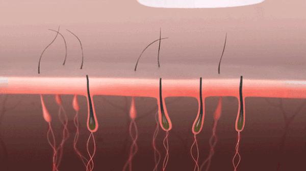 春天到了，要不要一次*光脱**呢？