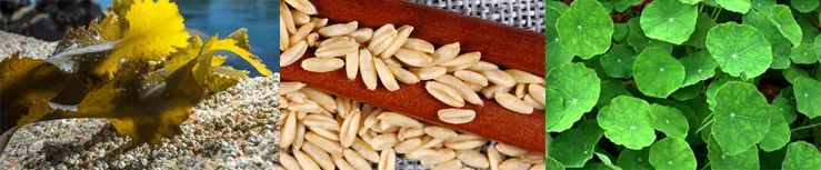 张嘉倪同款月光宝盒精华液,张嘉倪给人涂保湿美白精华液