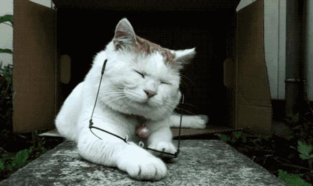 20秒缓解眼部疲劳视频,看20秒视频能缓解眼疲劳你信吗