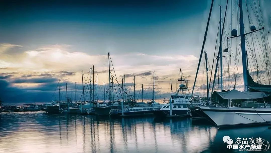 阿根廷红虾和青虾仁哪个好,阿根廷红虾有什么特别之处呢