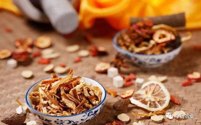 健康养生生姜吃法,生姜的补脾胃方子