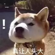 饿了么骑手免费配送,饿了么外卖点单商家不送货怎么办