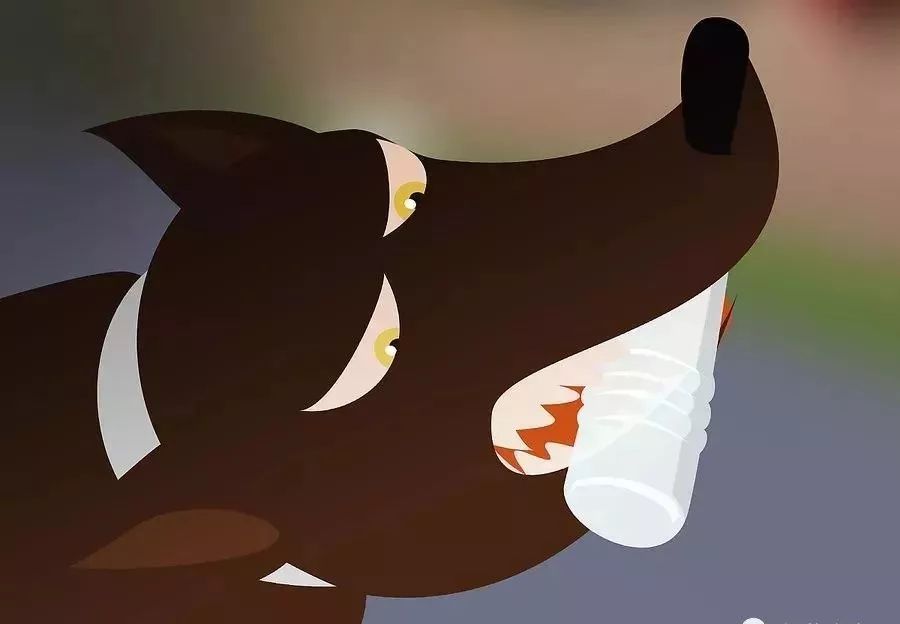 在外遇到恶犬攻击怎么办,如果被恶犬攻击怎么办