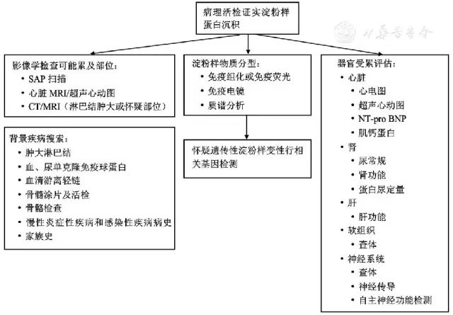 轻链型淀粉样变性,轻链淀粉样变性的诊断和治疗