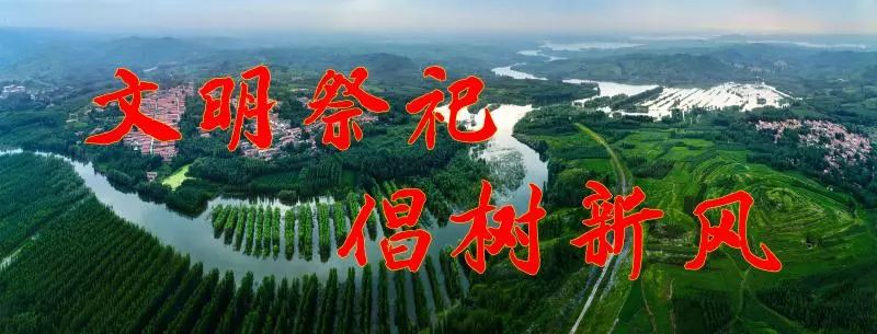 @五莲家长，培训机构年检结果来啦！给孩子选择哪家好？