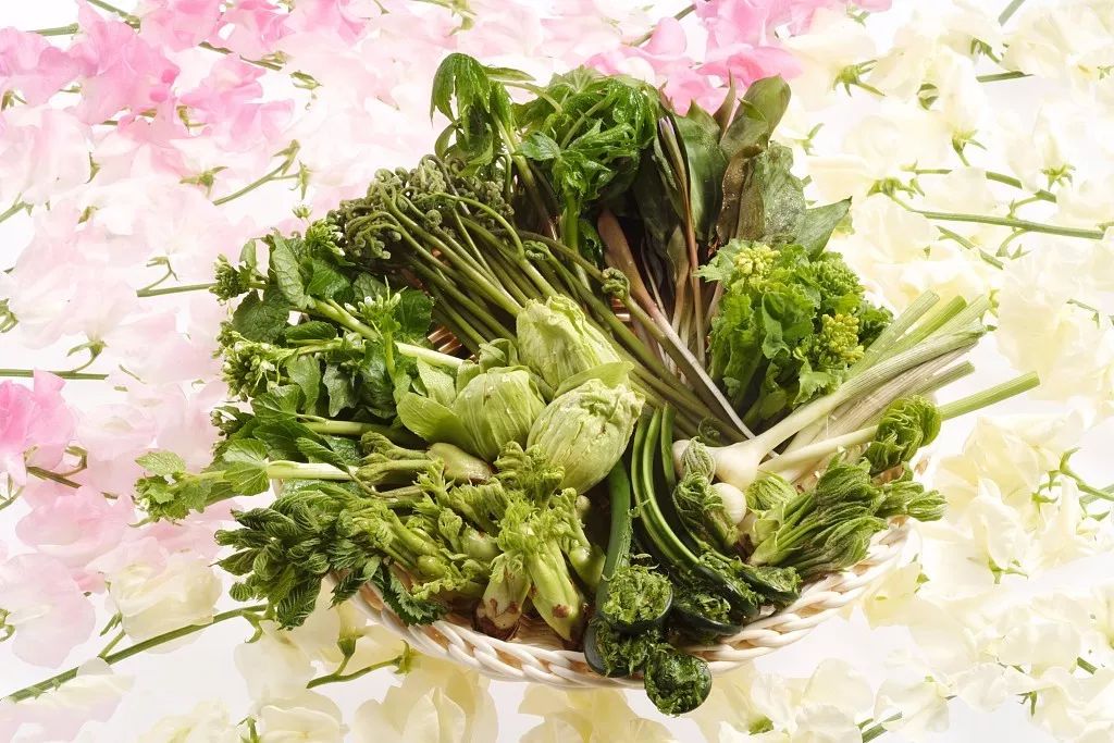 春天十大黄金野菜,中医养生必吃的9种食物