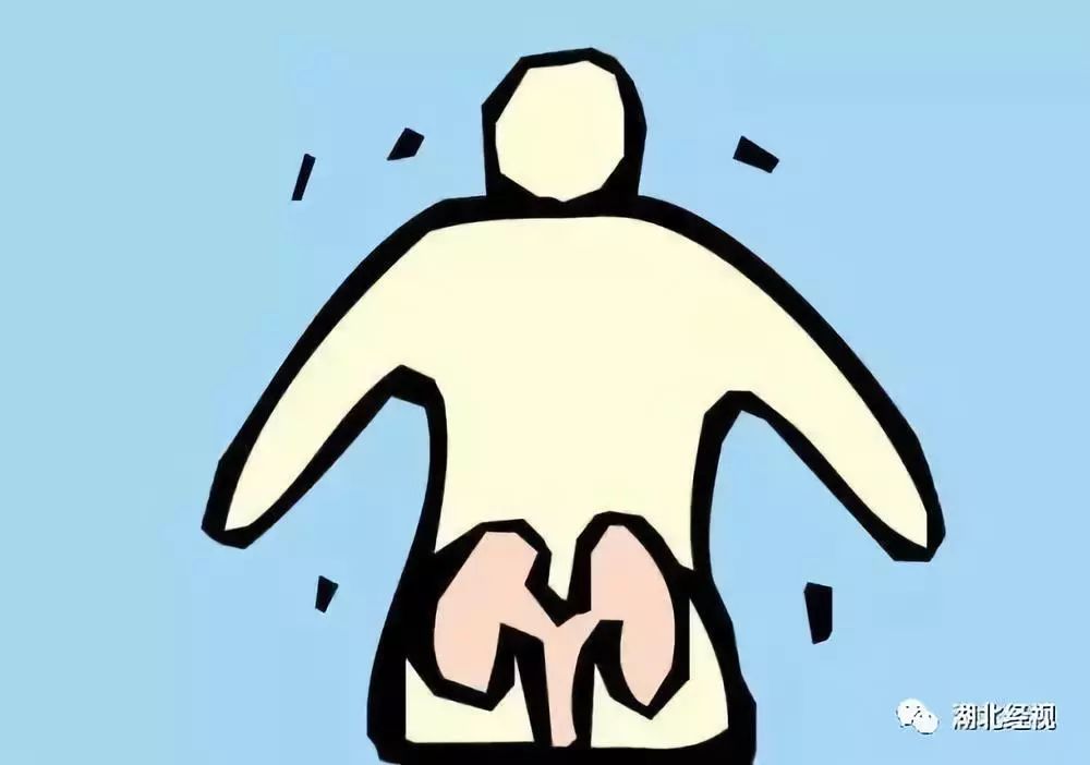 11岁的孩子查出尿毒症,12岁的孩子得了尿毒症什么原因