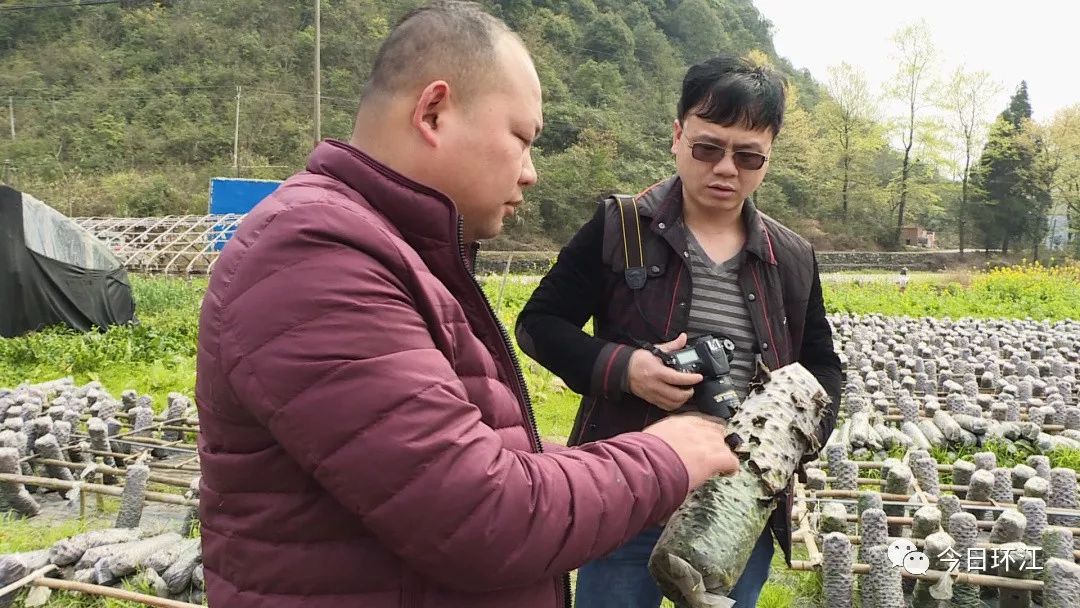 环江养殖什么最挣钱,河池环江香猪致富经