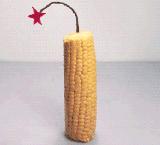 科学饮食要少食什么,科学饮食的好处视频