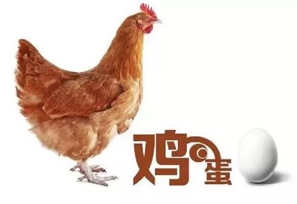 捡鸡蛋吃生鸡蛋,捡鸡蛋给爷爷奶奶吃