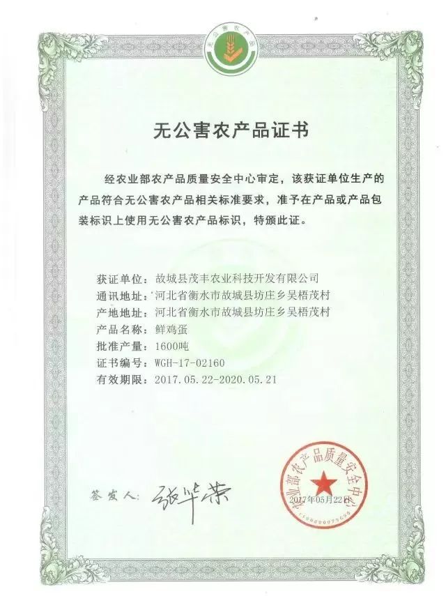 捡鸡蛋吃生鸡蛋,捡鸡蛋给爷爷奶奶吃