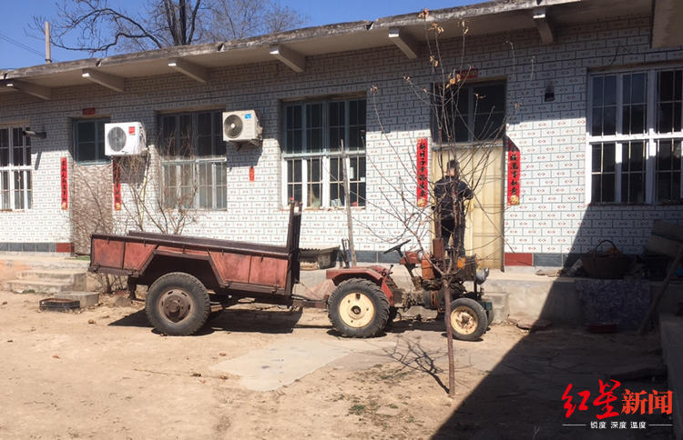 河北男子遭老婆打,河北男子被老婆打